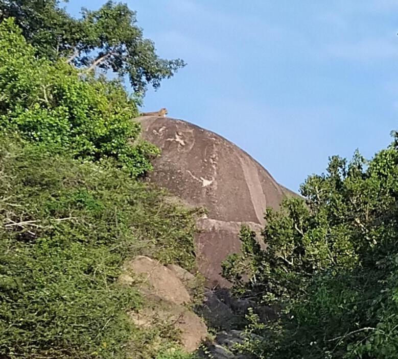 Green House Yala Kirinda  Exterior photo